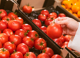 Совмин Беларуси взял на контроль цены на огурцы и помидоры и сократил перечень товаров под регулированием
