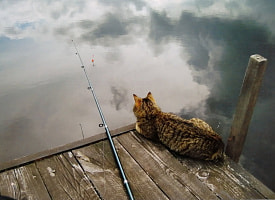 Белорусские рыбаки жалуются, что не клюёт рыба. Узнали у эксперта, в чём причина