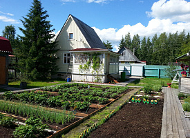 Правительство Беларуси ввело льготные тарифы на электричество для этих дачников. Какие условия?