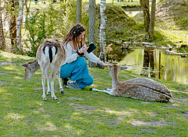 Посетили первый в Беларуси сафари-парк, где животных можно увидеть на воле